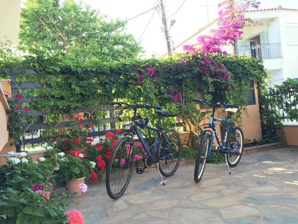 פוליכרונו Villa Despina Green Suites מראה חיצוני תמונה